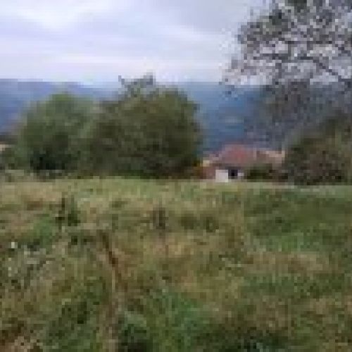 IMG 20210902 WA0008