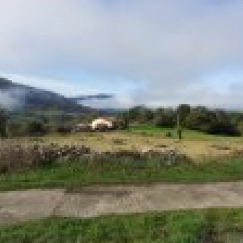 Finca edificable y parcelable en Pintueles   PILOÑA  (FIN