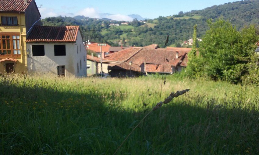 Finca edificable en el centro del casco urbano de Santolaya   CABRANES  (FIN