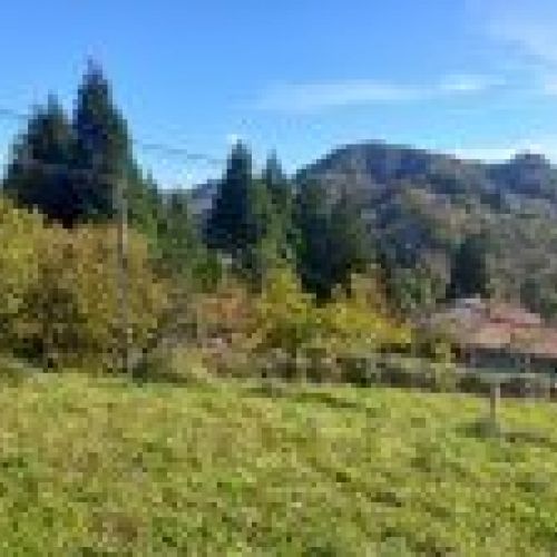 Finca edificable en CABRANES  (FIN