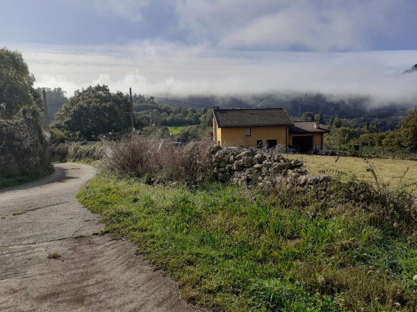 Finca edificable y parcelable en Pintueles   PILOÑA  (FIN
