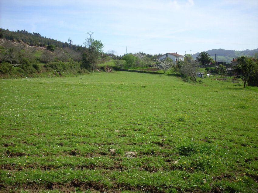 Venta de fincas edificables en El Puntal (VILLAVICIOSA)