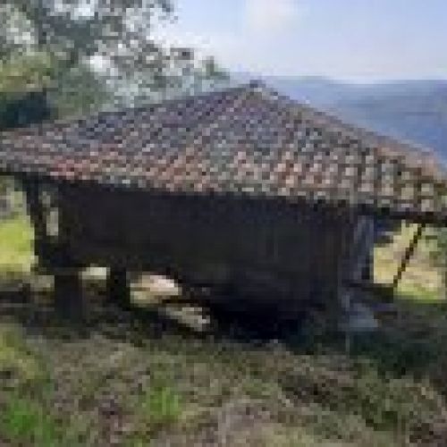 Hórreo con finca en VILLAVICIOSA  (REAB