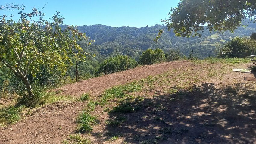 Llagar de piedra para cambio de uso a vivienda en VILLAVICIOSA  y Finca Edificable (REAB