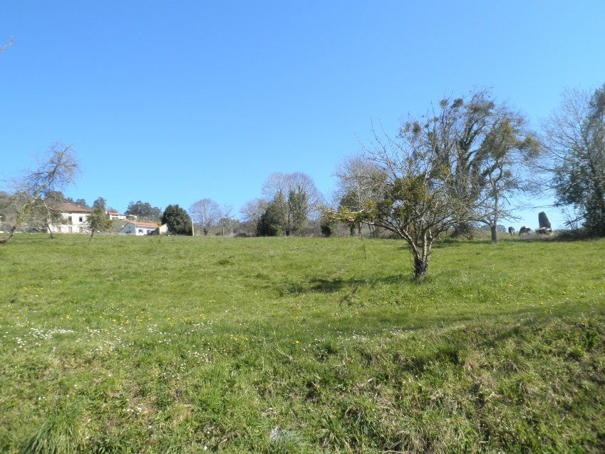 b3d18bcbddfaac92463aefae103f14707bf431d9