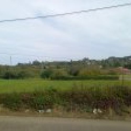 Finca edificable en Selorio   VILLAVICIOSA  (FIN