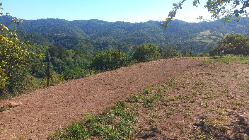 Llagar de piedra para cambio de uso a vivienda en VILLAVICIOSA  y Finca Edificable (REAB