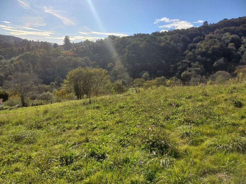 bc1dd1cec74f1b4cd55aabf627df382d475f4010