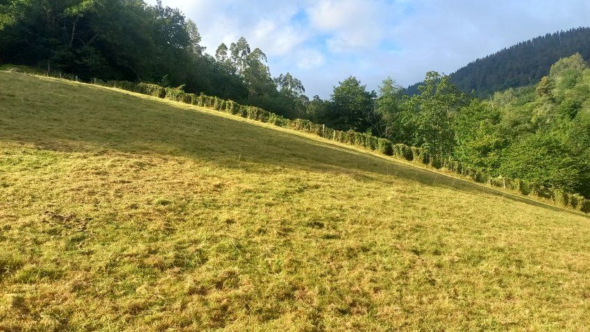 Finca edificable en VILLAVICIOSA  (FIN