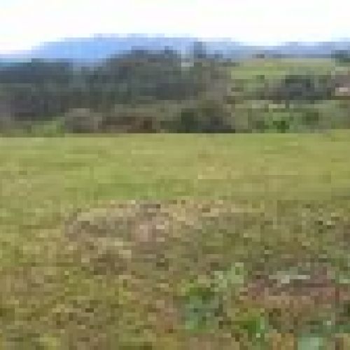 3 Fincas NO edificables en Tazones VILLAVICIOSA  (FIN