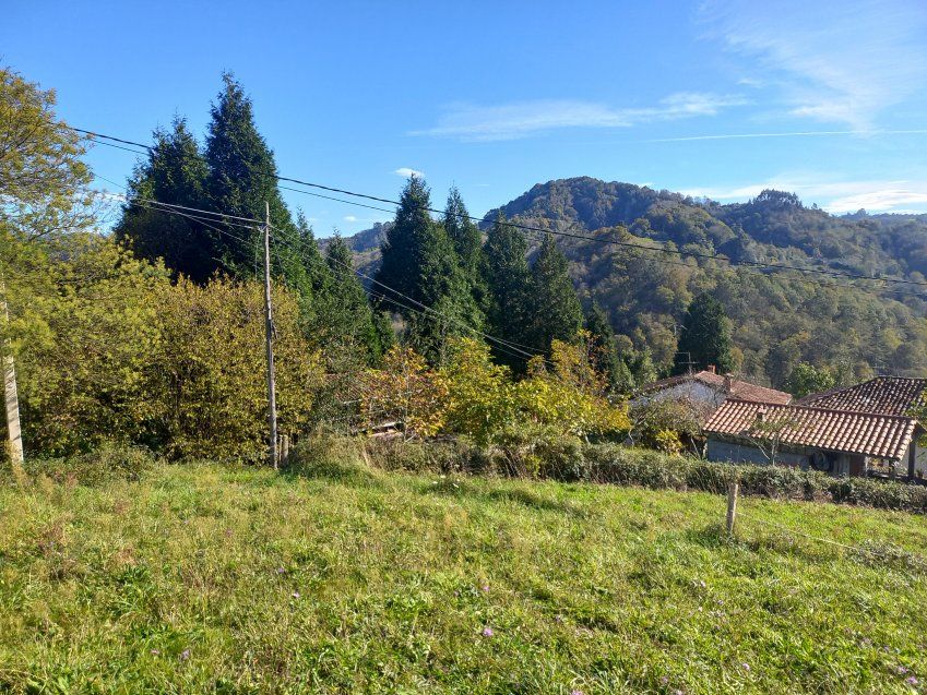 4624902d54d043be4a6cead414506fcf8e0a5262