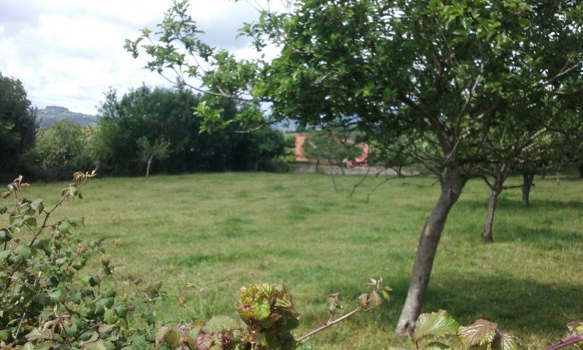 2 Fincas edificables en Selorio   VILLAVICIOSA  (FIN