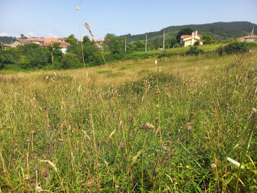 Finca edificable en zona de Selorio   VILLAVICIOSA  (FIN