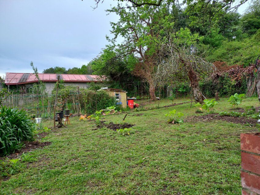 Casa de piedra para rehabilitar en VILLAVICIOSA  (REAB