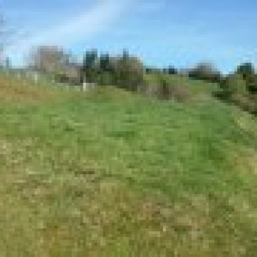 Finca edificable en CABRANES  (FIN