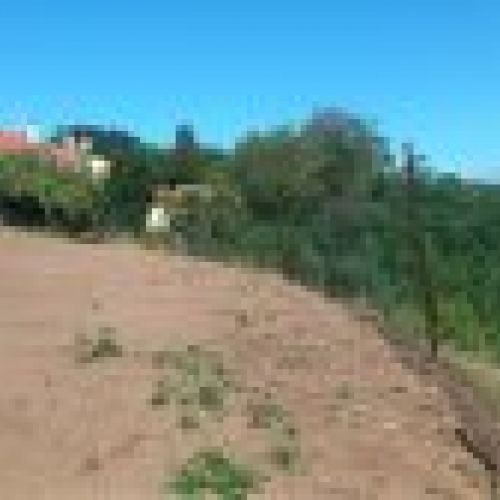 Llagar de piedra para cambio de uso a vivienda en VILLAVICIOSA  y Finca Edificable (REAB