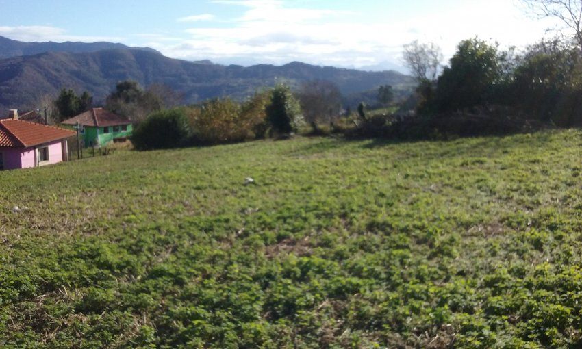 Finca edificable con una superficie de 970m2