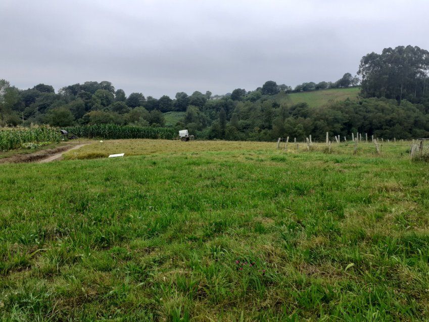 bd9d630f038cb041c6e4b9cf8d0a116cd22c5cd4