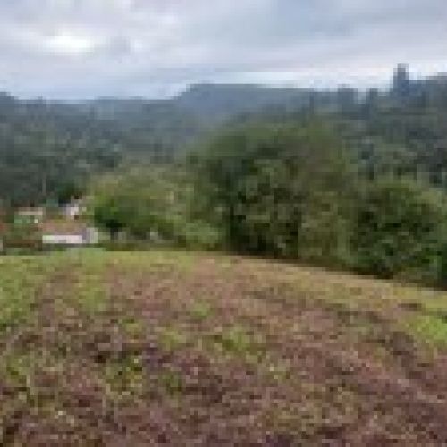 Finca edificable en CABRANES