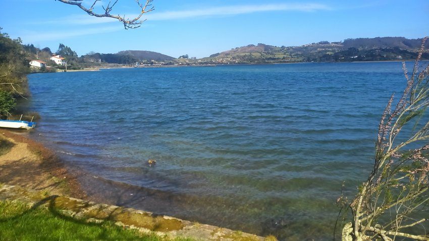 f005a2a49c1f379a8122c2ca35e7b4299923dfe1