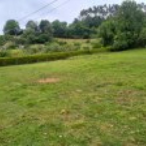 Finca edificable en CABRANES  (FIN