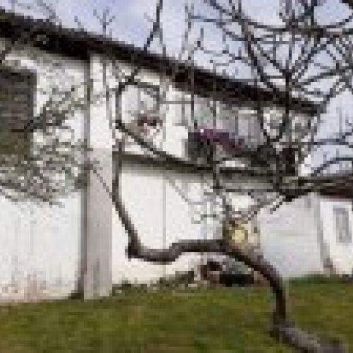 Casa de piedra para rehabilitar con Cuadra y Tenada en CABRANES (REAB