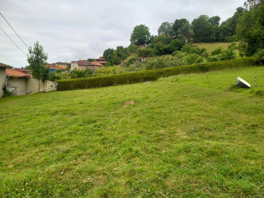 9b5d6cabe2d14946e0b16b98d3fcdf580dead327