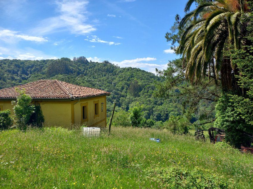 Casa de piedra independiente para reformar en CABRANES  (REAB