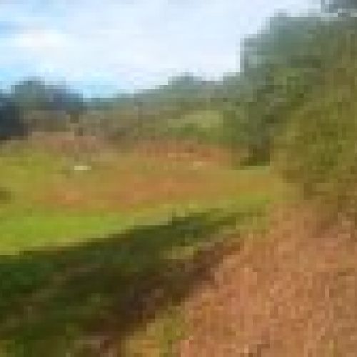 Finca edificable en El Puntal   VILLAVICIOSA (FI