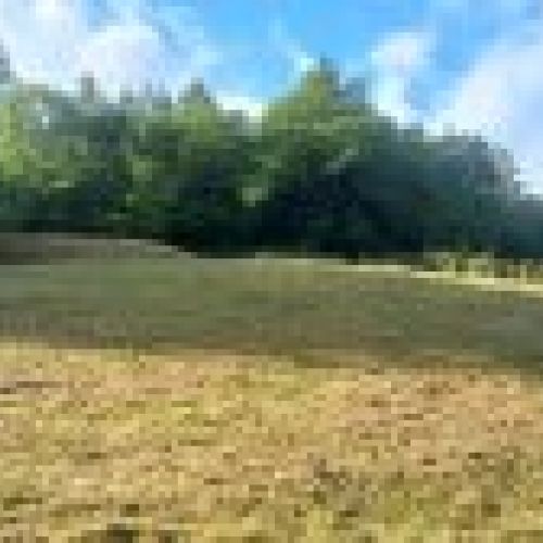 Finca edificable en VILLAVICIOSA  (FIN