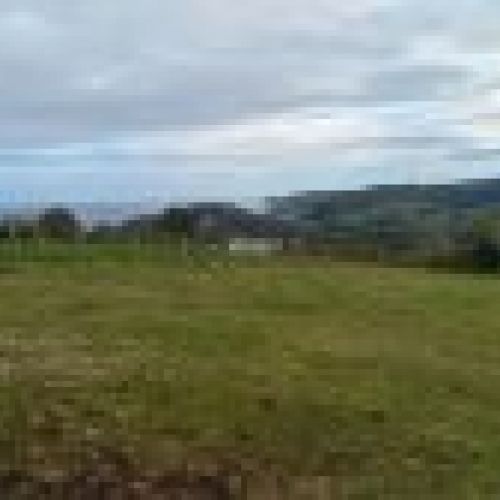 3 Fincas NO edificables en Tazones VILLAVICIOSA  (FIN