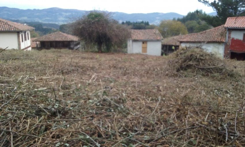 Finca edificable con Panera en Villaviciosa  (FIN