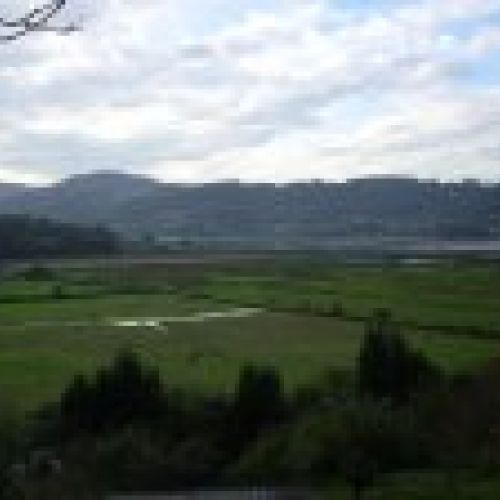 Casa independiente en El Picu Selorio (VILLAVICIOSA)(CAS