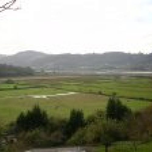 Casa independiente en El Picu Selorio (VILLAVICIOSA)(CAS