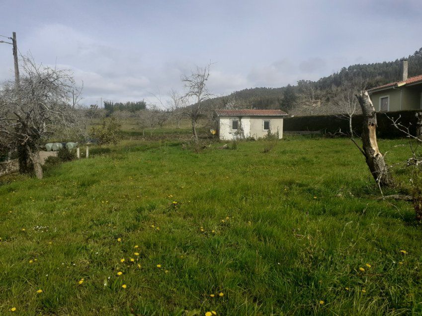 Finca edificable en Selorio   VILLAVICIOSA  (FIN
