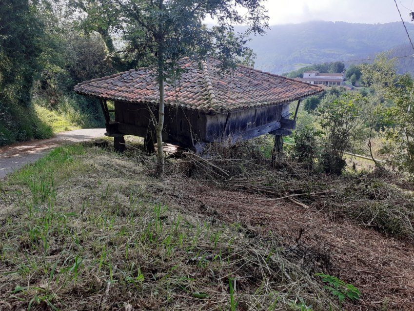 Hórreo con finca en VILLAVICIOSA  (REAB