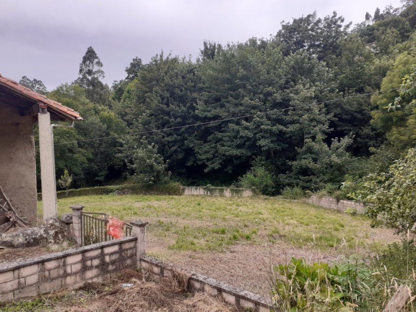 d897c2a9b281289b8dcb74a4e31fd7f6f77e8ad0