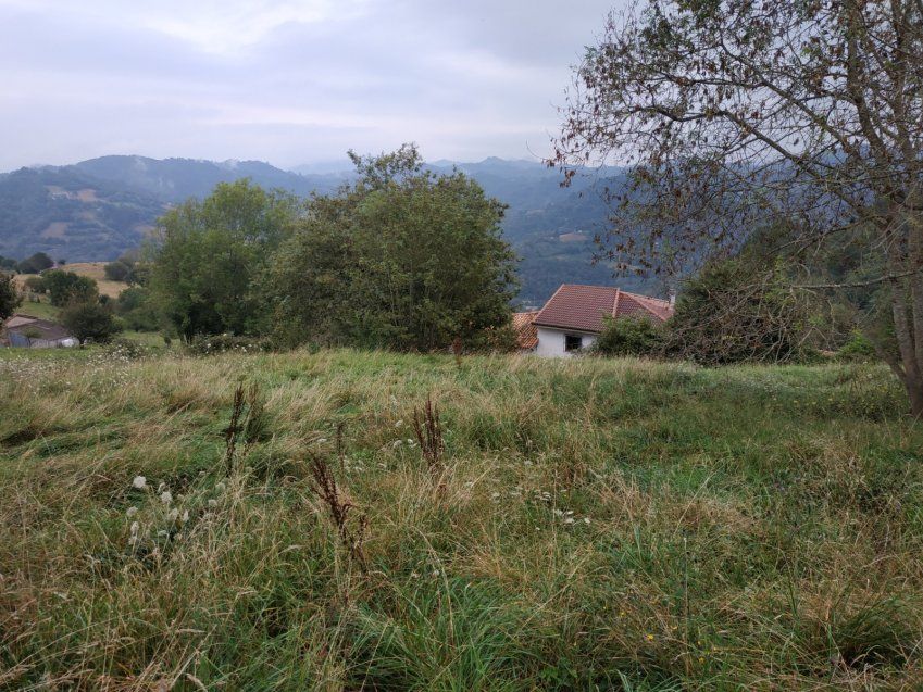 IMG 20210902 WA0008