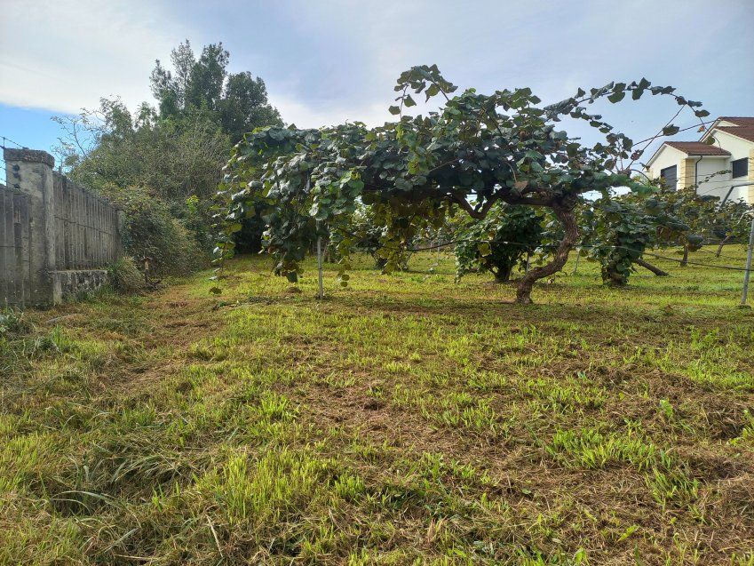 Finca edificable en Selorio   VILLAVICIOSA  (FIN