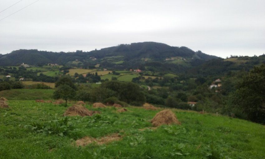 Casa de piedra para rehabilitar en VILLAVICIOSA  (REAB