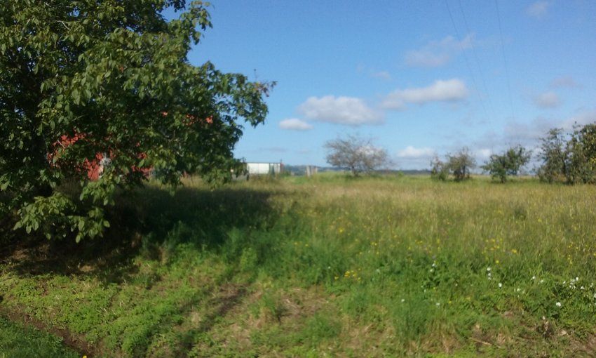 Finca edificable en Poreño   VILLAVICIOSA  (FIN