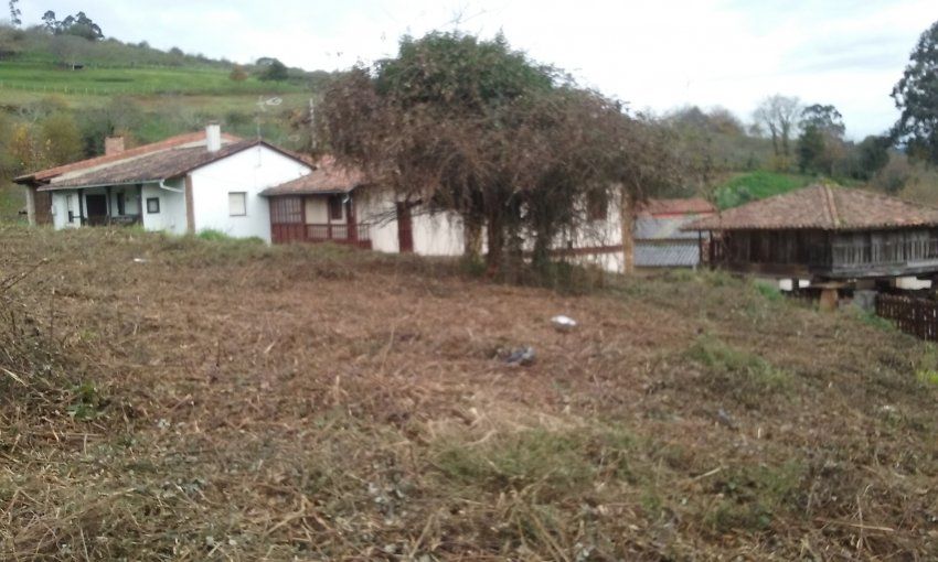 Finca edificable con Panera en Villaviciosa  (FIN