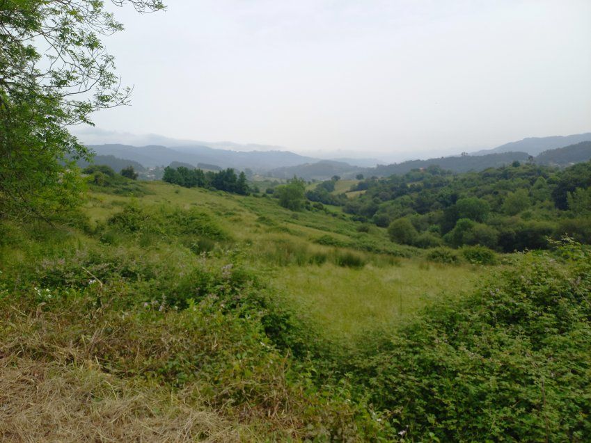 Finca con nave en VILLAVICIOSA  (FIN