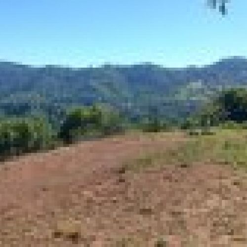 Finca Edificable y Llagar de piedra en VILLAVICIOSA  (FIN