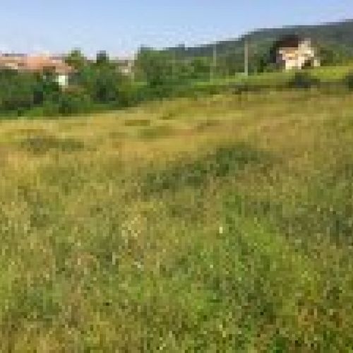Finca edificable en zona de Selorio   VILLAVICIOSA  (FIN