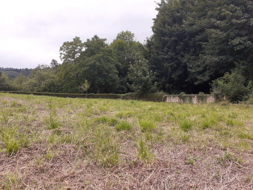 51ae15cfc5470e99683f4b3c91ef459e01658264