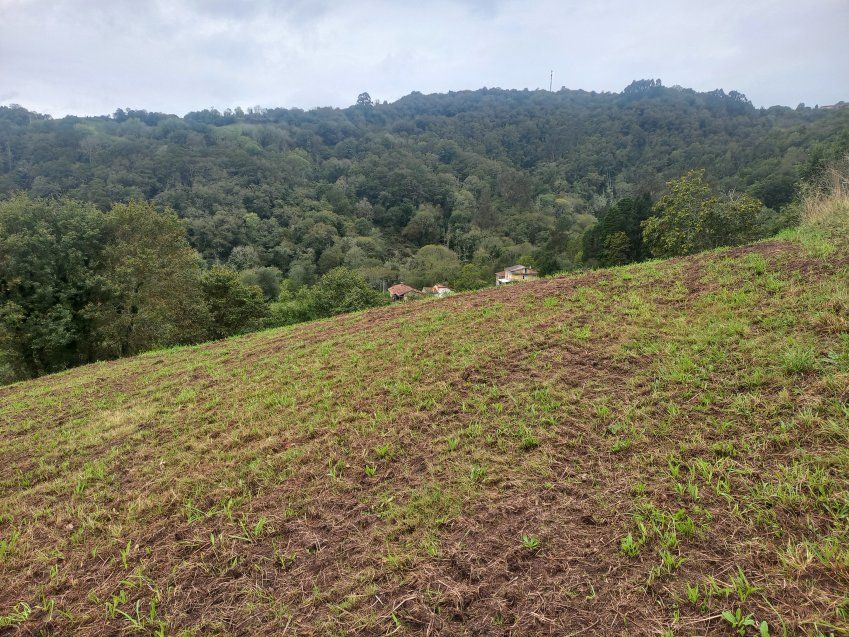 Finca edificable en CABRANES