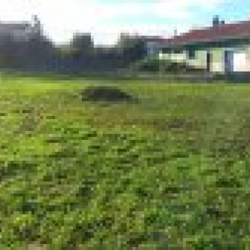 Finca edificable en Oles VILLAVICIOSA (FIN
