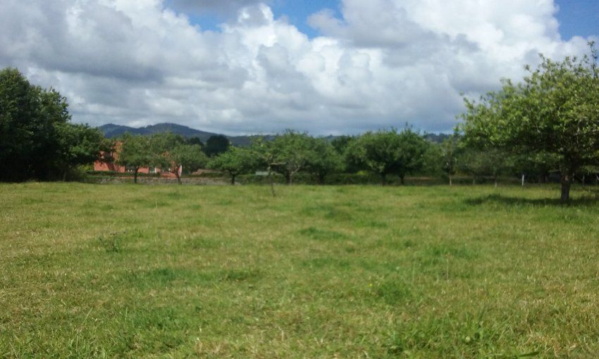 2 Fincas edificables en Selorio   VILLAVICIOSA  (FIN