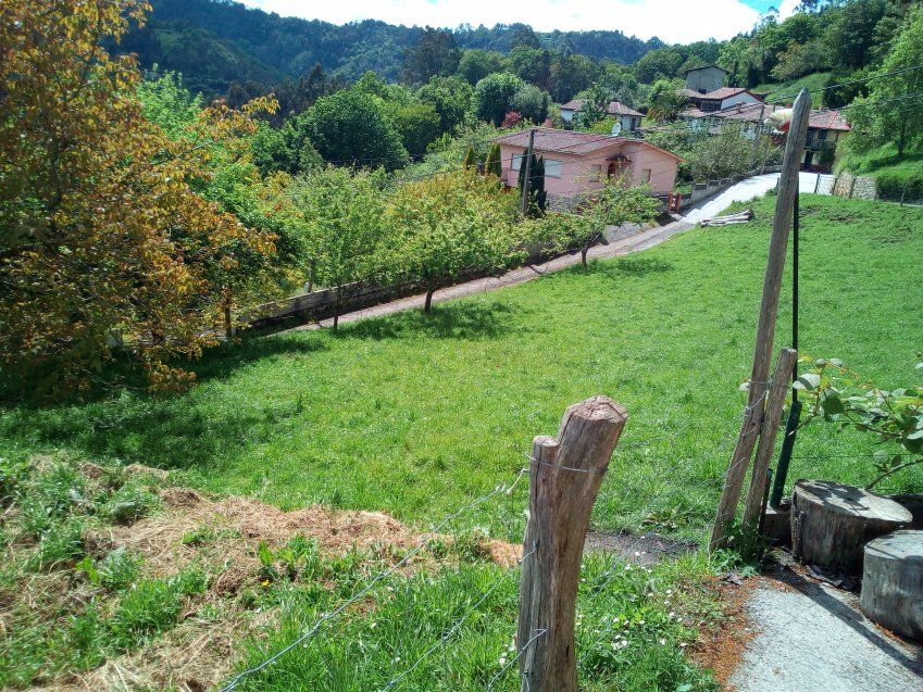 Finca edificable en CABRANES  (FIN